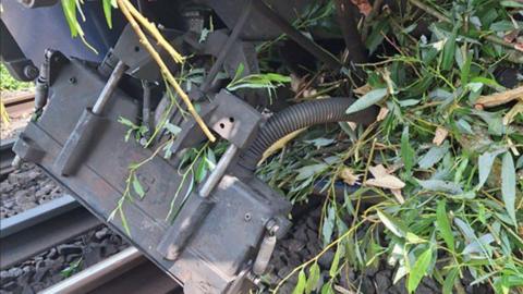 Part of a train dangling off the bottom of the vehicle. It is jammed with tree leaves and branches.