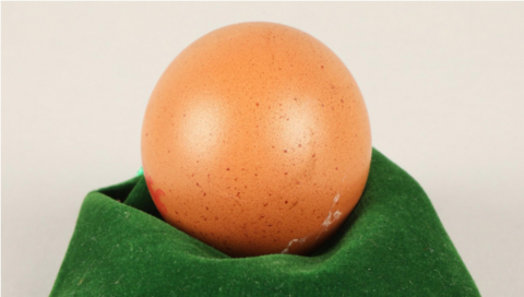 Spherical egg displayed on a green cloth.