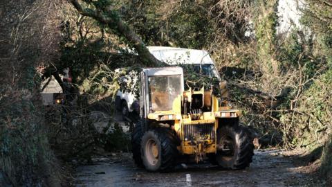 A yellow front loader is clearing a fallen tree blocking a narrow road in St Stephen, Cornwall. The tree has collapsed across the road, with branches and debris scattered. Behind the loader, a white van is partially visible, stopped due to the obstruction. Dense greenery and trees line both sides of the road.