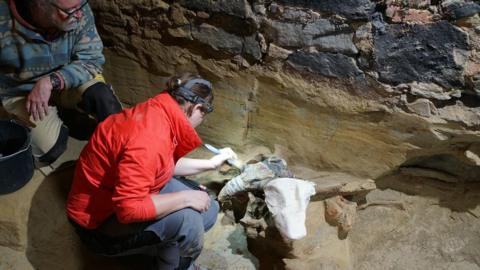 Archaeologists preparing the bones for recovery