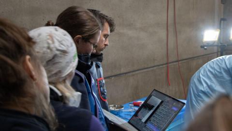 Vets look at a computer screen during surgery.