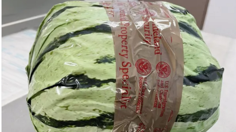 A close-up of the drugs wrapped in plastic to resemble a watermelon