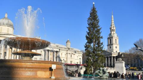 Trafalgar Square Christmas tree