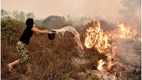 A villager throwing a bucket of water at a peat land fire on the outskirts of Palangkaraya in Central Kalimantan on 26 October 2015.