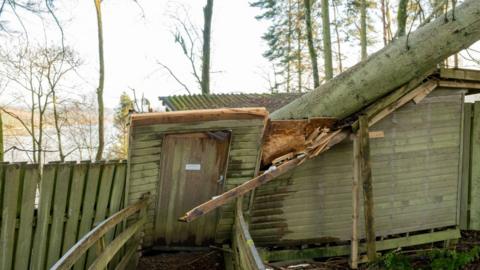 A fallen tree through roof of a log cabin in Kielder