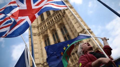 Flags and Parliament