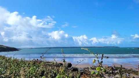 Bright blue sky with white clouds sit over the greeny blue sea with sand and vegetation growing in the forecast