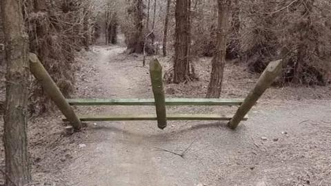 Three large wooden posts protrude from a frame set across a cycle track in the woods