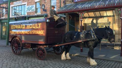 Lion pulling a cart