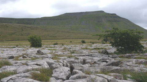 Ingleborough from Raven Scar