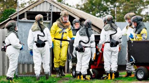 Mink culling team in Gjol, Denmark, 8 Oct 20