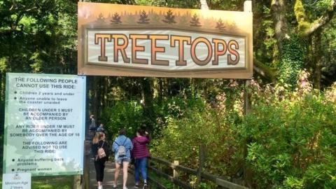 treetops