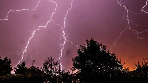 Lightning over trees