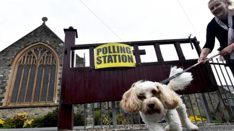 A woman holds onto the leash of her Cavachon dog Skye, outside a polling station in St Peter's Church of Ireland in Belfast