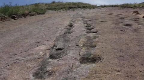 Dinosaur tracks, Torotoro, Bolivia