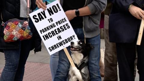 A dog joins protestors in Shrewsbury