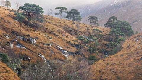 Glen Etive