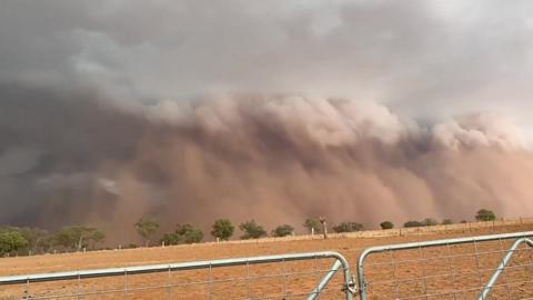 Wall of dust in Nyngan