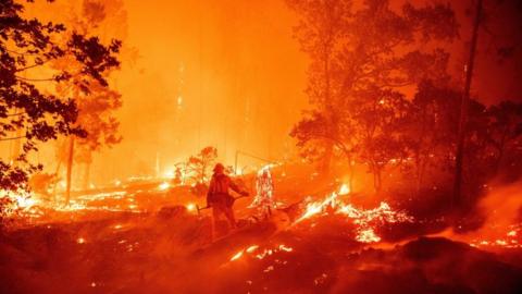 A firefighter standing in the middle of some trees, surrounded by fire