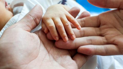 Baby's hand being held