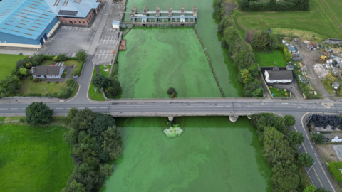 blue-green algae bloom in Toome, aerial drone shot showing roads, buildings and bright green water