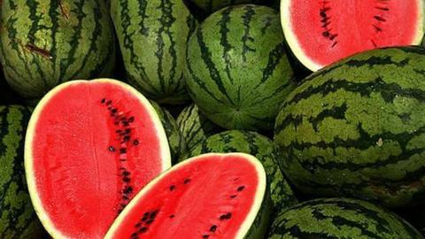 juicy watermelons