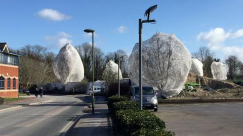 Netted trees in Guildford