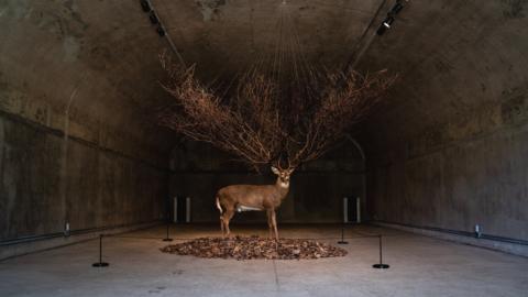 An art installation inside the military base