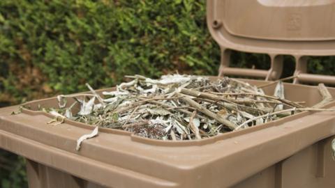 Brown bin and garden waste