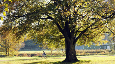 Witton Country Park