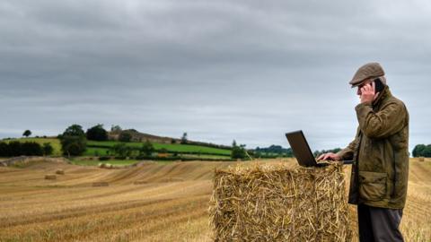 Man on phone in field