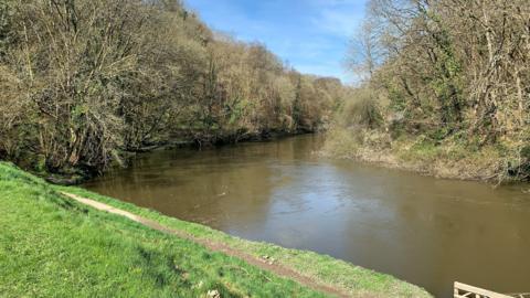 Afon Teifi