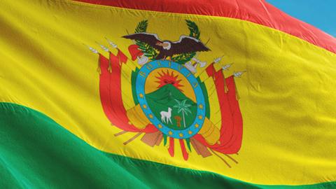 Bolivian Flag