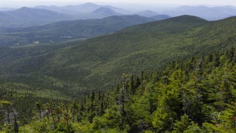 Views of the White Mountain National Forest, a preserved mountain range of forest