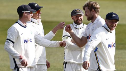 Yorkshire celebrate a wicket for David Willey