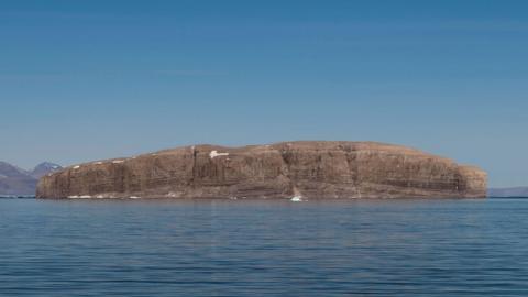 Hans Island