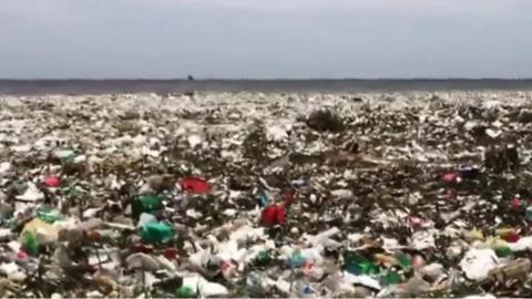 This was the scene on a beach in the Dominican Republic after a storm.