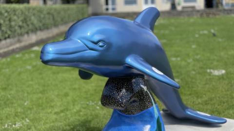 Dolphin model, Isle of Man