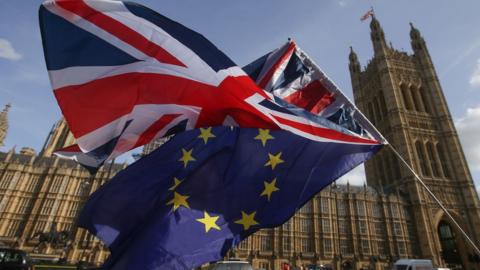 flags outside Westminster