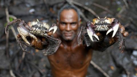 Fisherman Jose da Cruz showing crabs he has caught