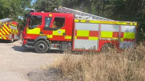 Fire engines at Sulham Woods in Reading