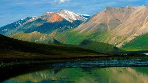 Arctic National Wildlife Refuge