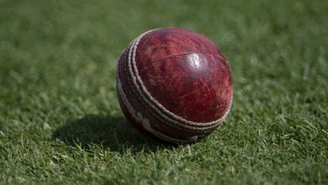 A view of a generic red cricket ball