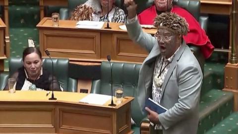 New Zealand MP Rawiri Waititi