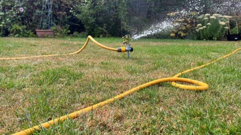A sprinkler on a lawn in summer