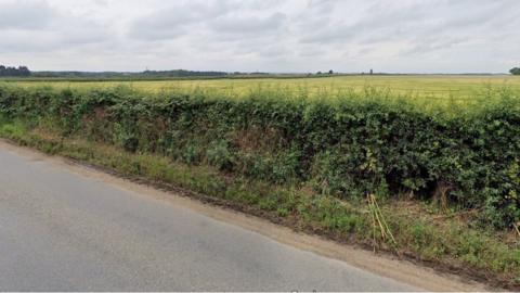 Field off Hunworth Road, Holt