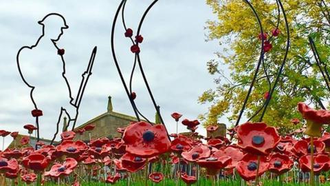 Poppies tribute