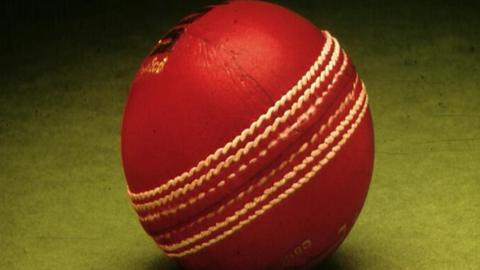 Cricket ball generic