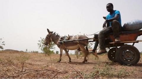 From pitch to plough: Life after football