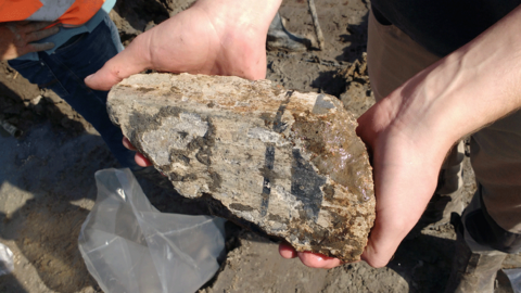 Roman building material with plaster intact, Katwijk, Netherlands, 2018